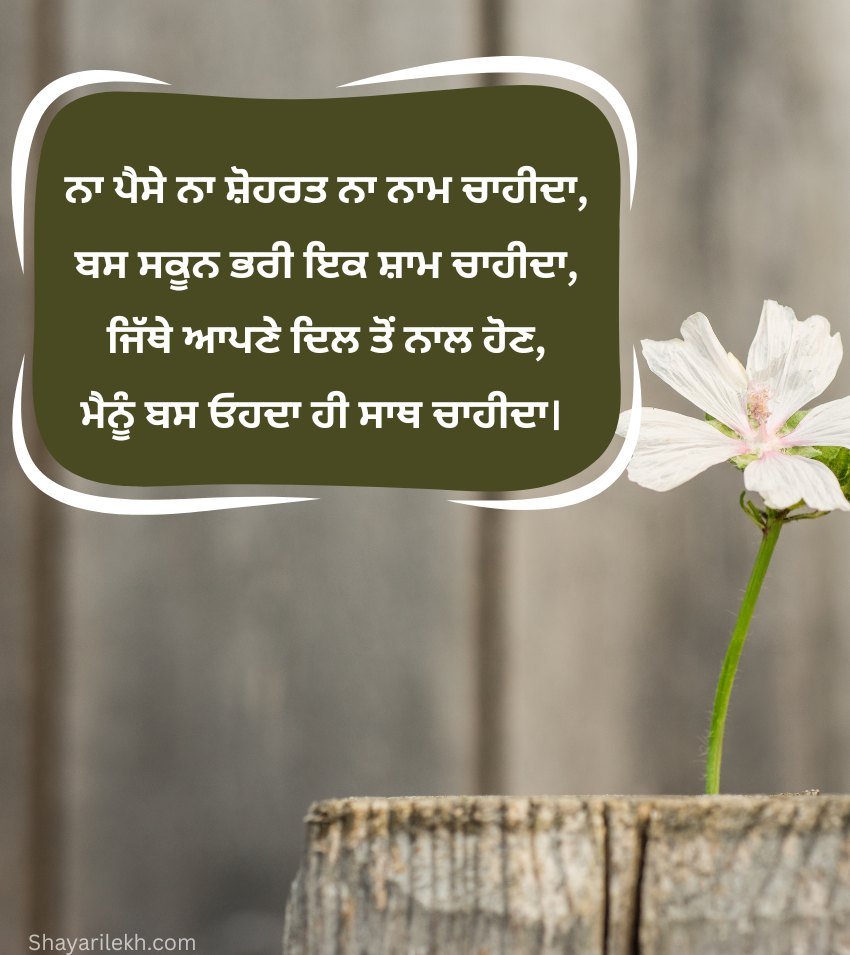 Punjabi Quotes For Daily Life Inspiration