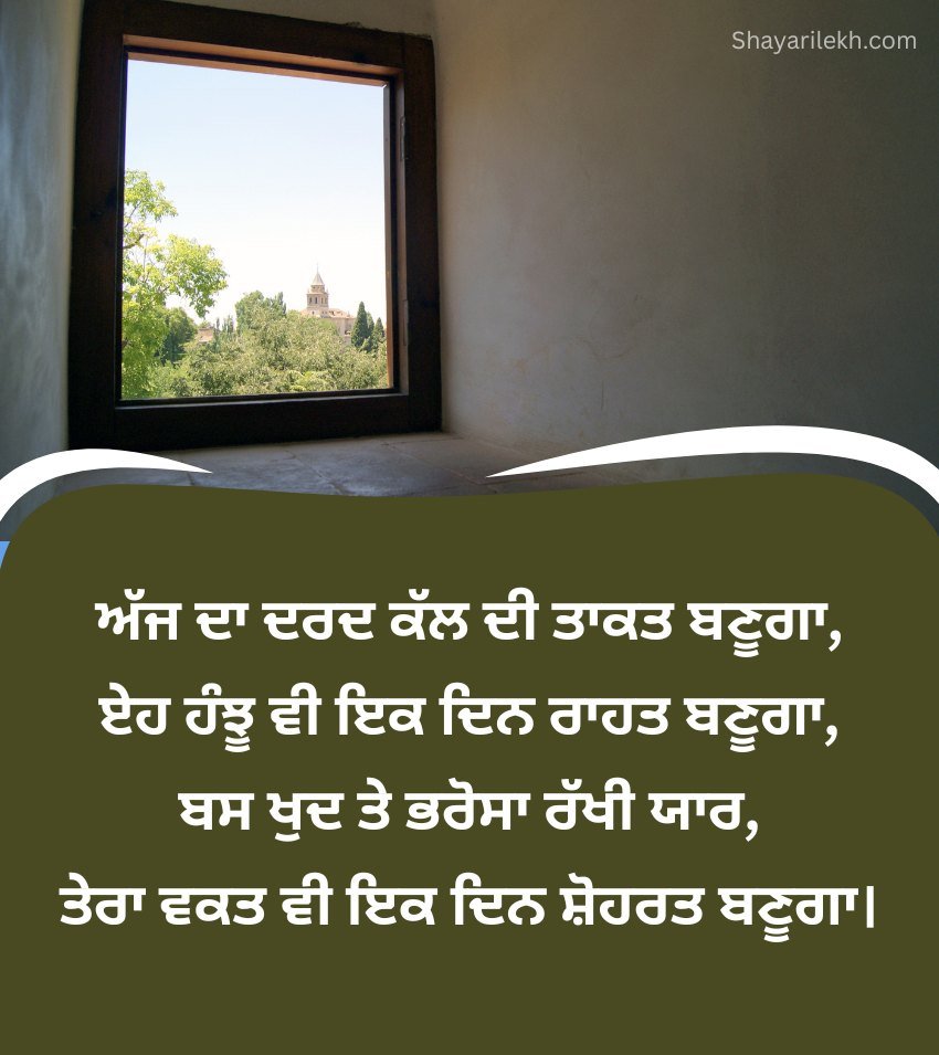 Life Status in Desi Punjabi Language